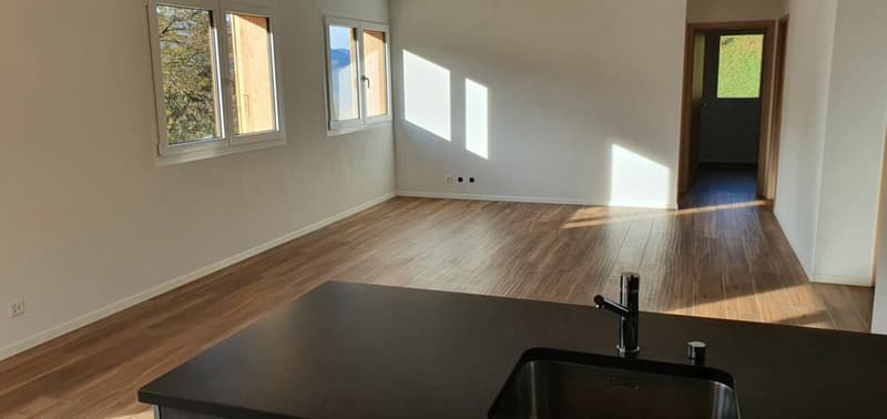 Epine 17 - 4.5 rooms for rent for the year (5)