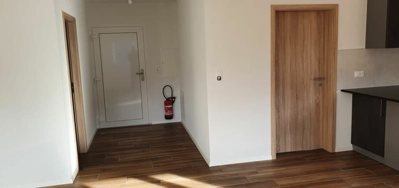 Epine 17 - 4.5 rooms for rent for the year (9)