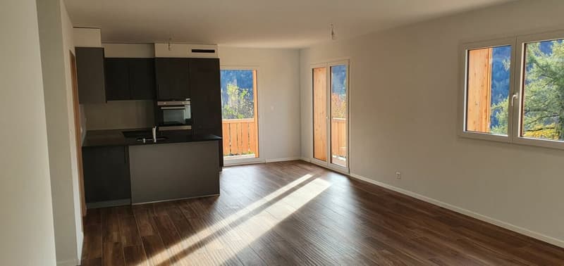 Epine 17 - 4.5 rooms for rent for the year (3)