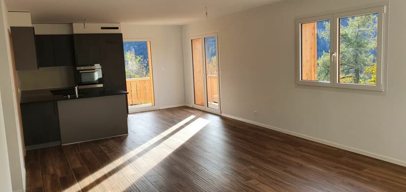 Epine 17 - 4.5 rooms for rent for the year (2)