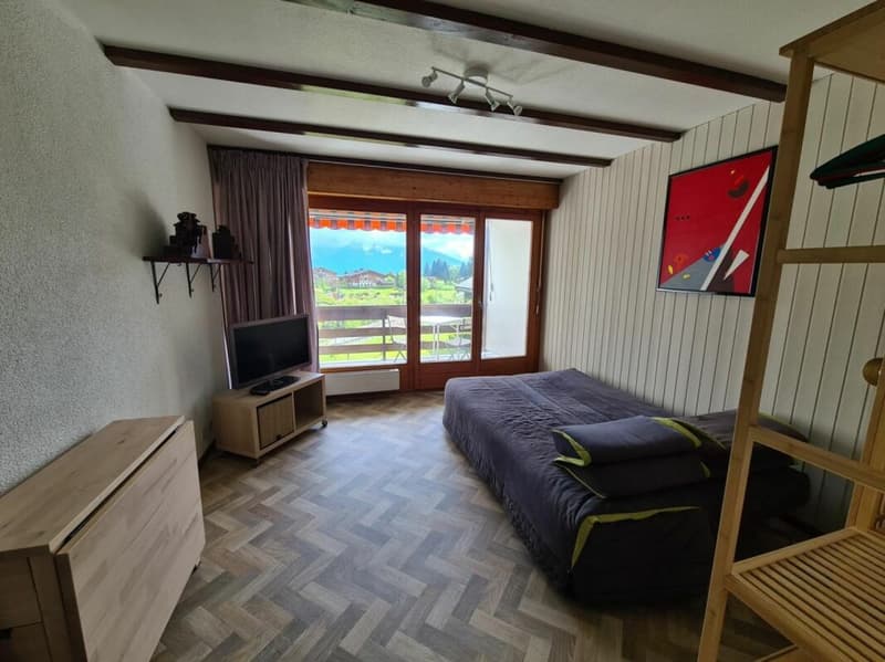 Appartamento monostanza a Villars-sur-Ollon (5)