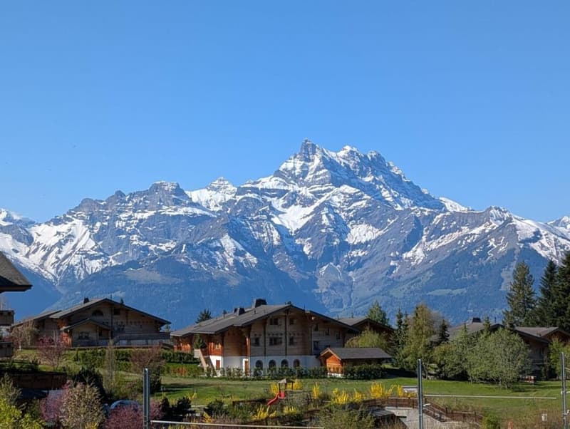 Appartamento monostanza a Villars-sur-Ollon - in affitto per la stagione estiva (2)