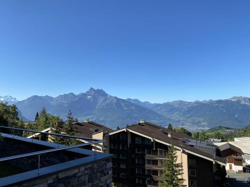Hedonia - Résidence Alpine - A9 (14)