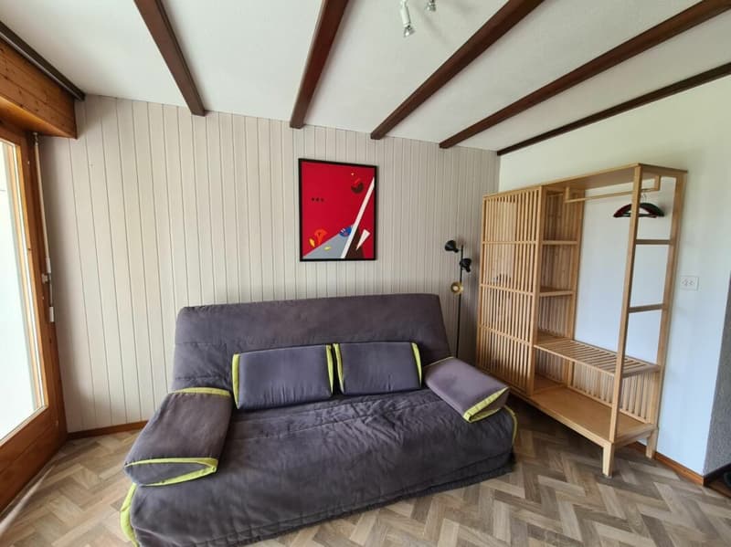 Appartamento monostanza a Villars-sur-Ollon - in affitto per la stagione estiva (3)