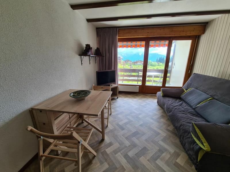 Appartamento monostanza a Villars-sur-Ollon - in affitto per la stagione estiva (6)