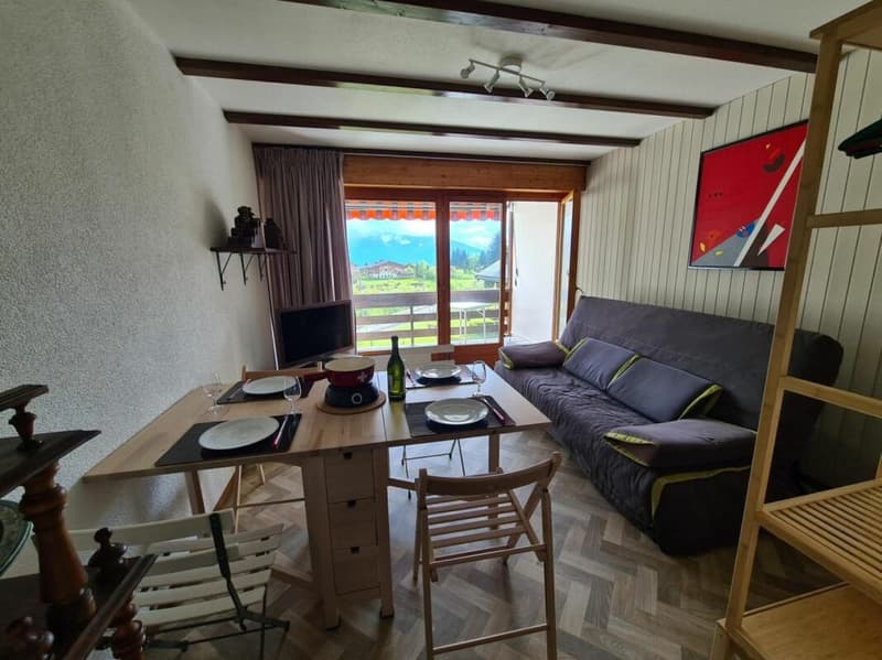 Appartamento monostanza a Villars-sur-Ollon - in affitto per la stagione estiva (7)