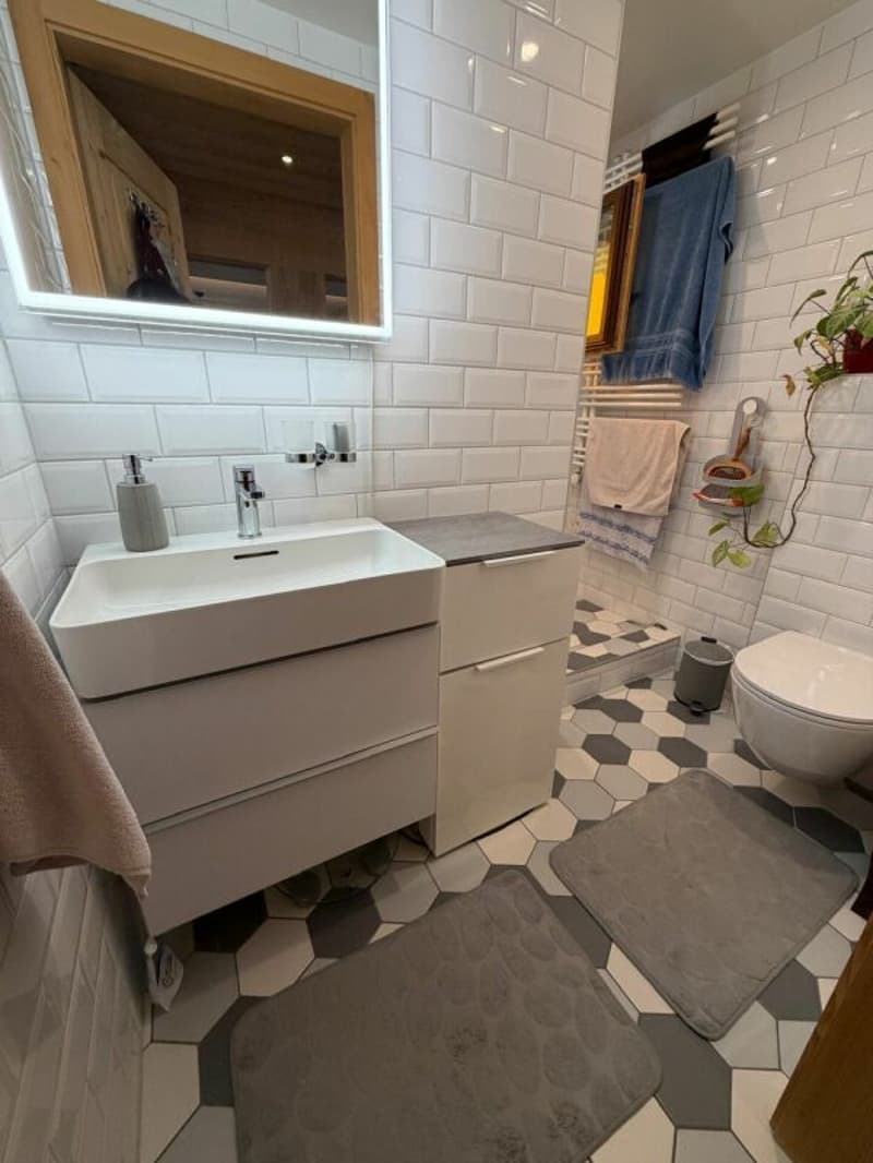 Chalet Bethany - 3.5 locali in affitto per l'anno (8)