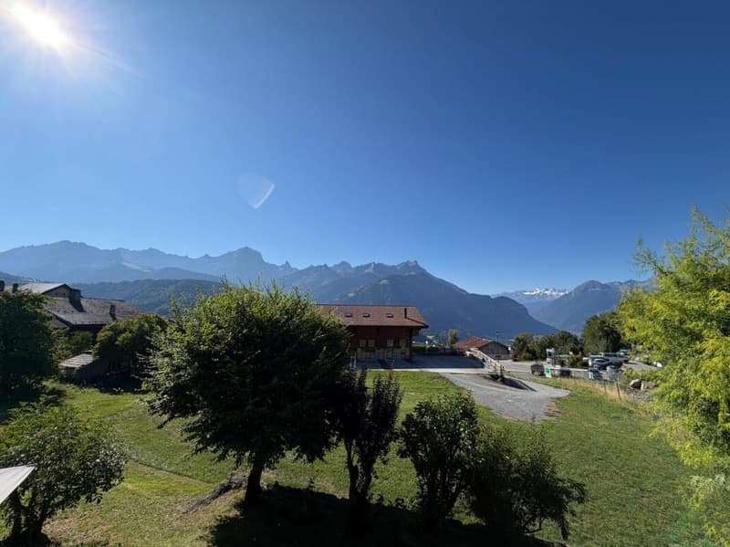 Chalet Bethany - 3.5 locali in affitto per l'anno (10)