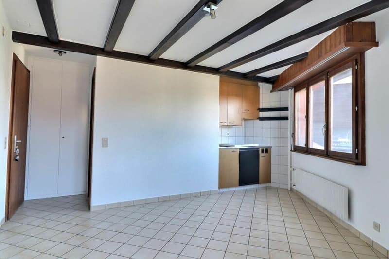 Appartamento monostanza a Villars-sur-Ollon (3)