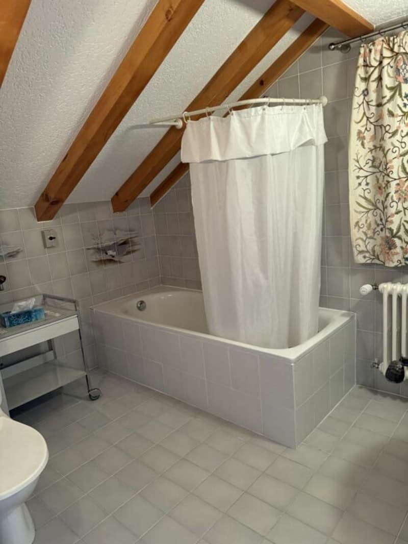 Zweieinhalb-Zimmer-Wohnung in Arveyes (5)