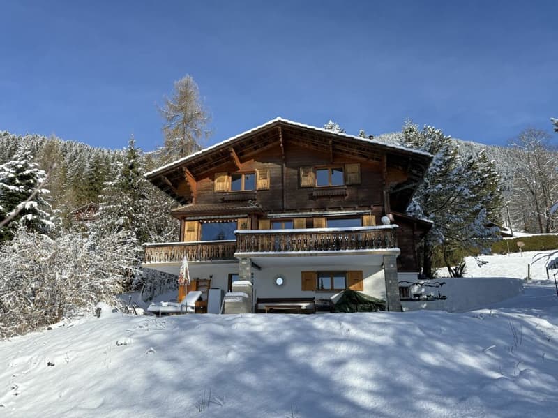 Les Mossettes (12)