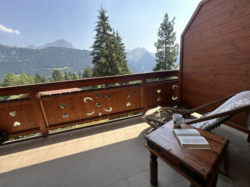 A deux pas du télécabine - appartement 2 pièces avec balcon (3)