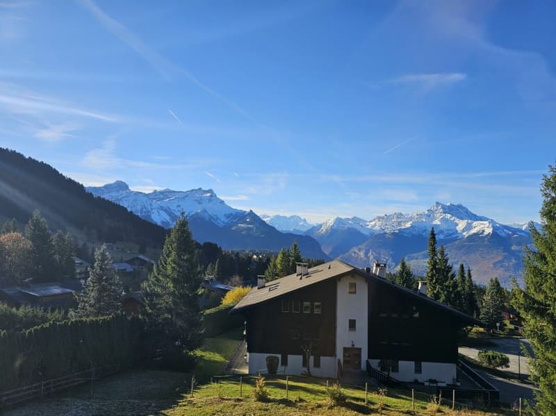 Chalet 4 pièces à Villars-sur-Ollon - A LOUER A LA SAISON HIVER (11)
