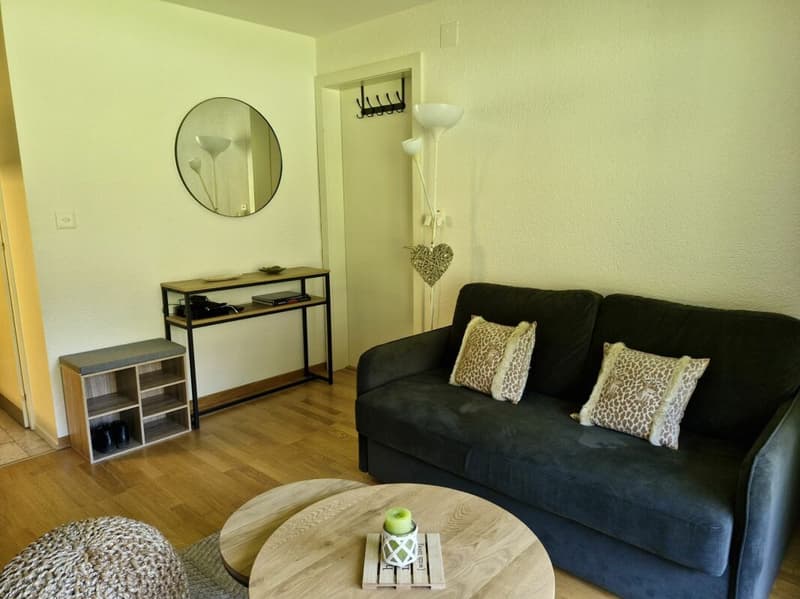 Appartement 2 pièces à Villars-sur-Ollon (6)