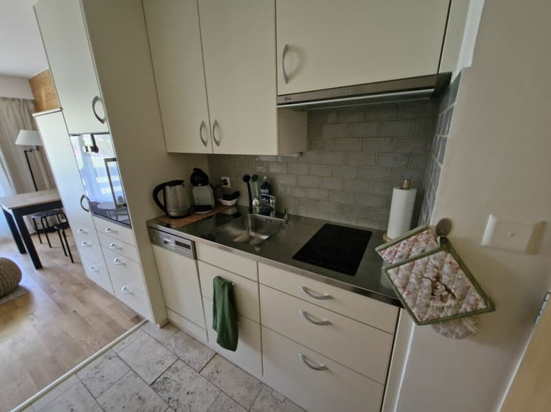 Appartement 2 pièces à Villars-sur-Ollon (4)