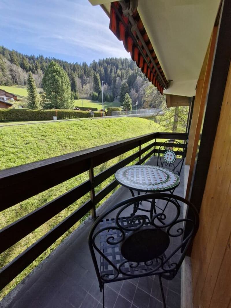 Appartement 2 pièces à Villars-sur-Ollon (3)