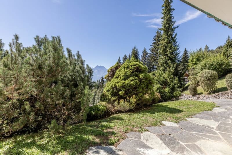 Savoie 1 A (4)