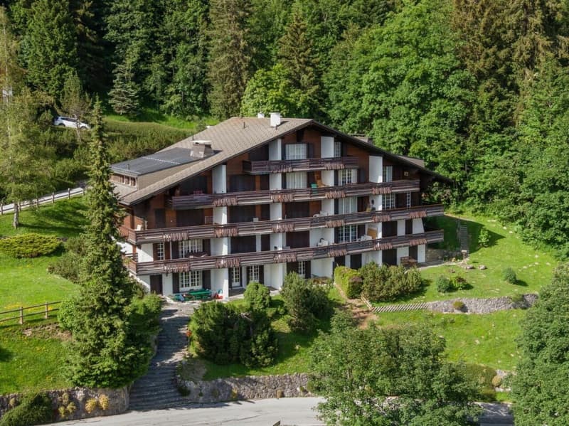 Savoie 1 A (17)