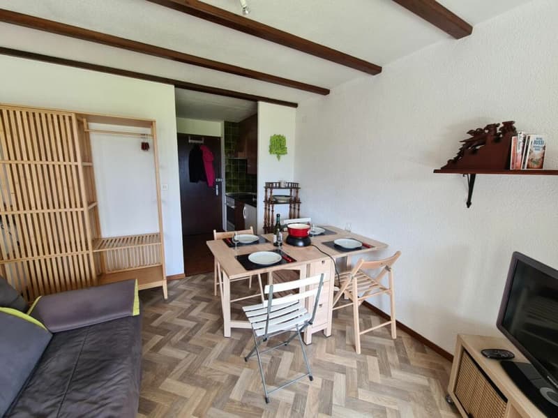 Appartement 1 pièce à Villars-sur-Ollon (1)