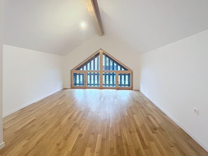 Duplex penthouse with 4.5 rooms (11)
