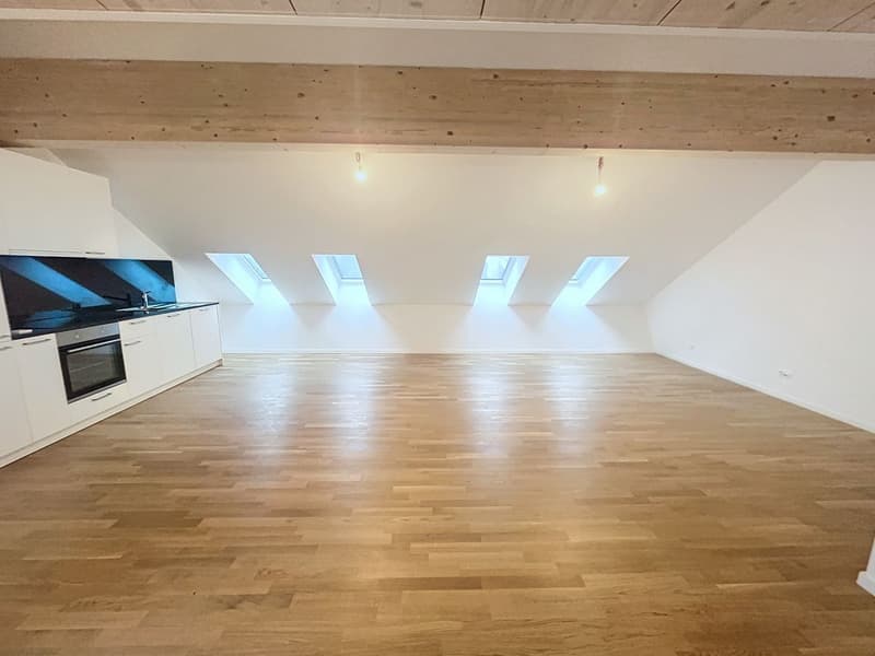 Duplex penthouse with 4.5 rooms (4)