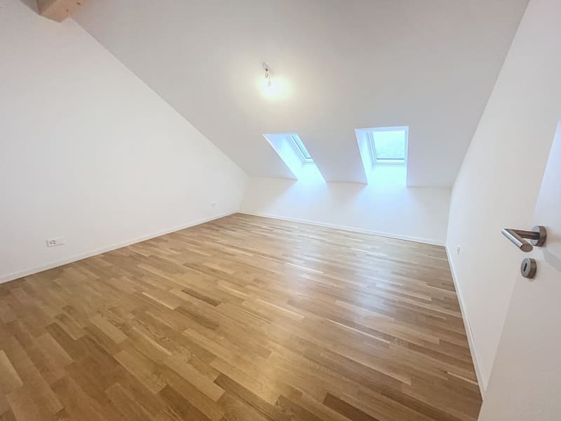 Duplex penthouse with 4.5 rooms (9)