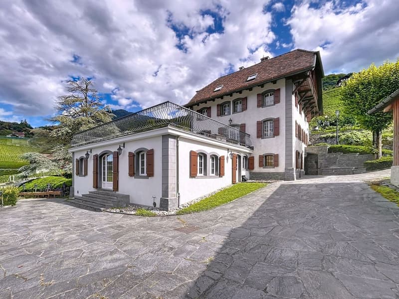 Demeure Villageoise de 2 ou 3 appartements (3)
