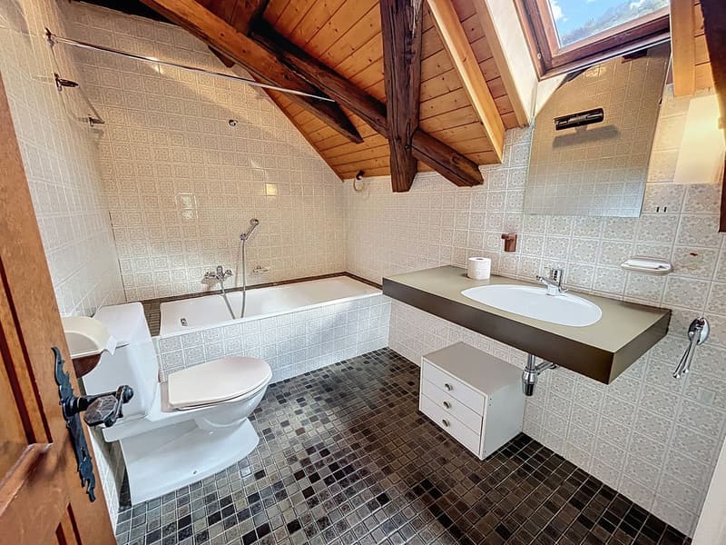 Appartement de 2 pces Combles : Salle de bains