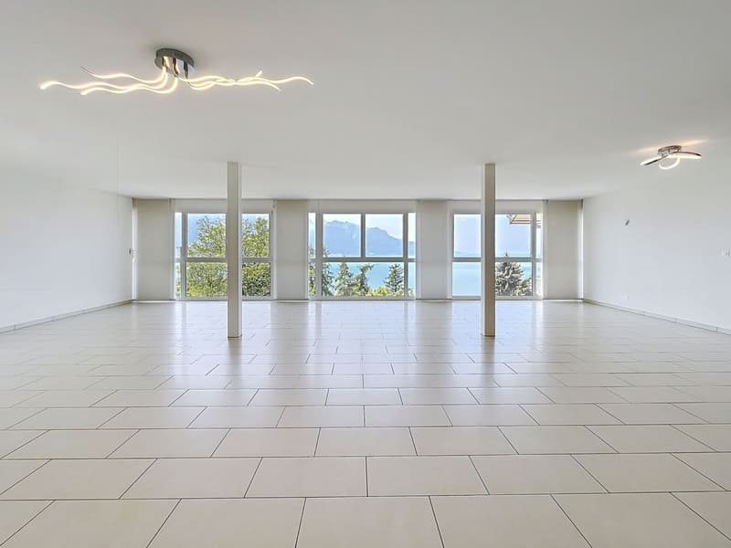 4,5 pces  - 165 m2 avec vue extraodrinaire (4)