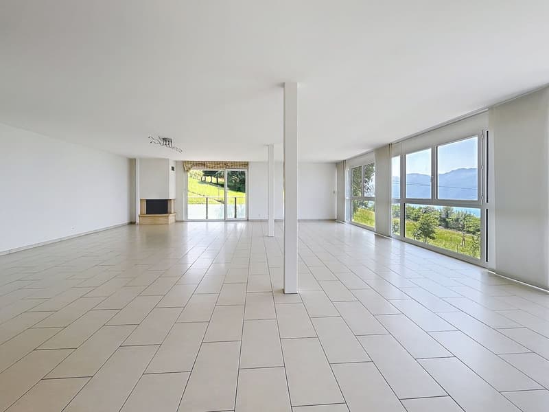 4,5 pces  - 165 m2 avec vue extraodrinaire (3)