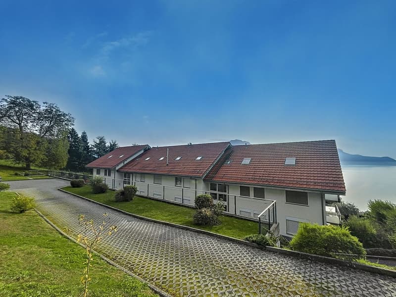 4,5 pces  - 165 m2 avec vue extraodrinaire (9)