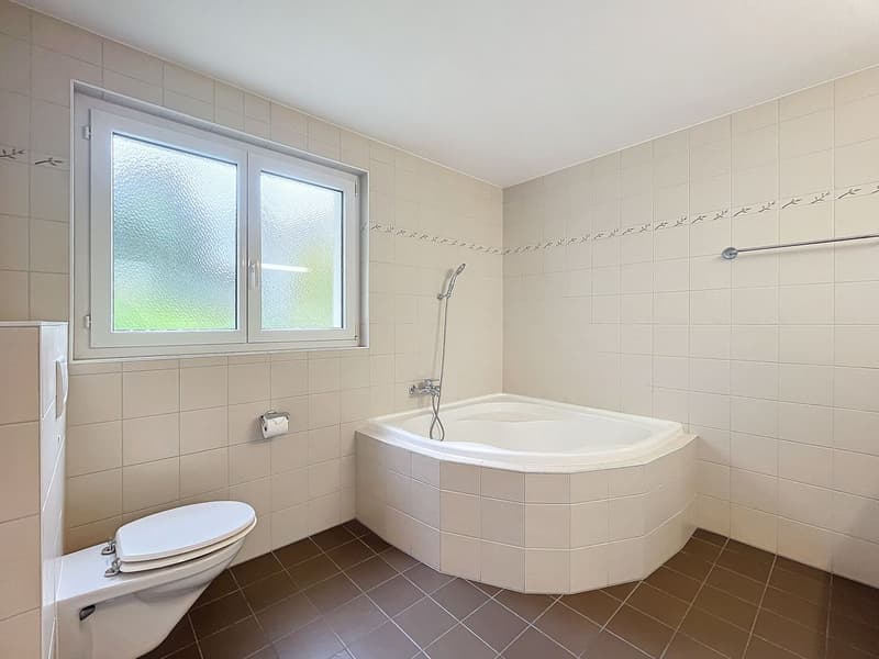 4,5 pces  - 165 m2 avec vue extraodrinaire (8)