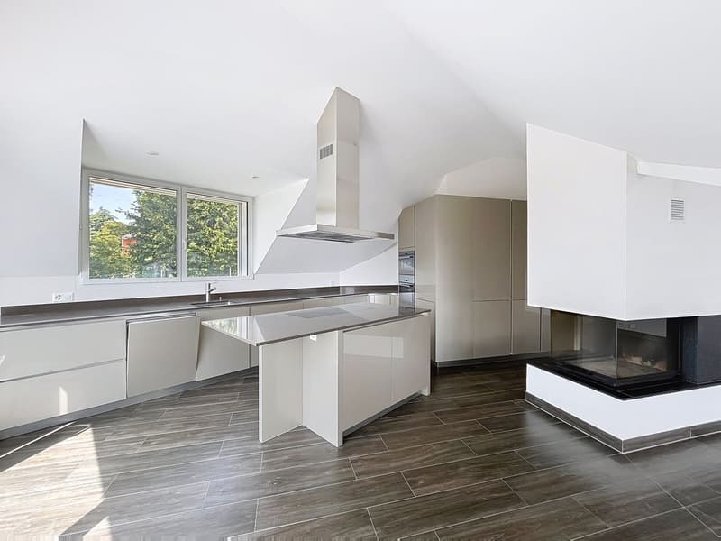 Mansarda di 4,5 locali + Ufficio, giardino, terrazze (7)