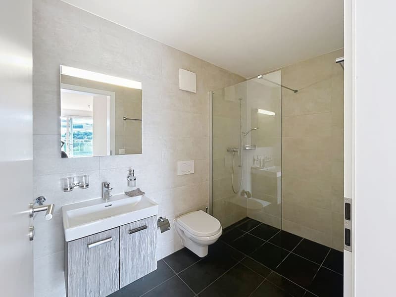 SALLE DE DOUCHE CHAMBRE PARENALE