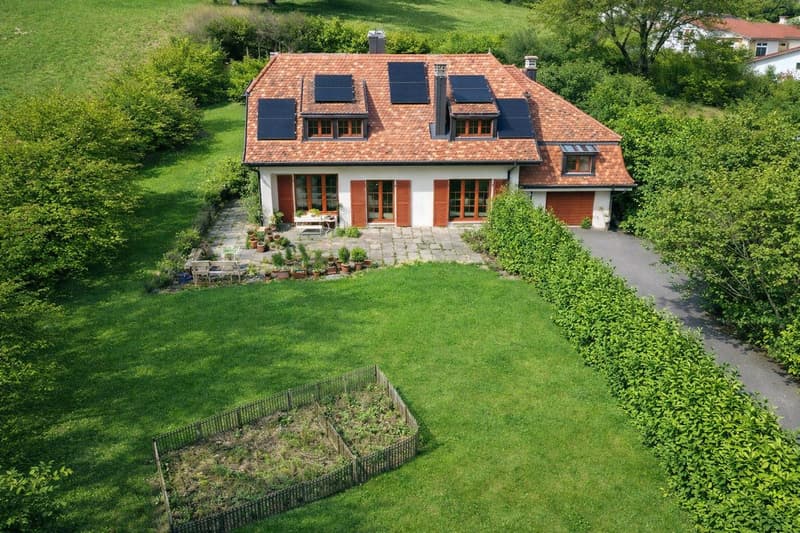 Grand jardin arboré, cadre bucolique (1)