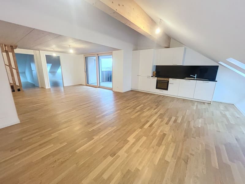 Duplex en attique de 4,5 pces (1)