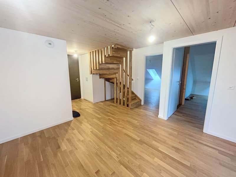 Duplex en attique de 4,5 pces (7)