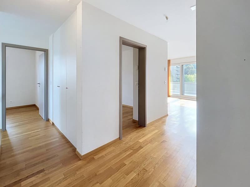 Attique avec ascenseur privatif et balcon périphérique (10)