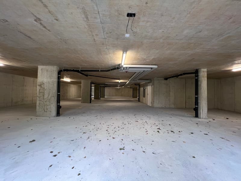 Parcheggi interni in affitto (2)
