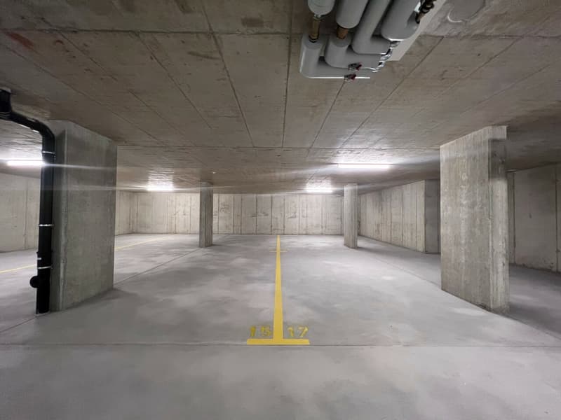 Parcheggi interni in affitto (3)