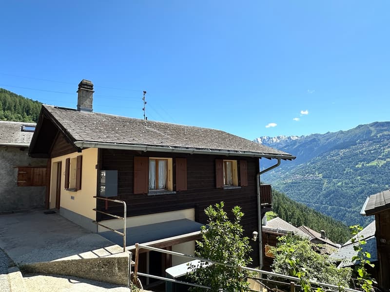 Charmanter Duplex-Wohnung mit 4.5 Zimmern im Erdgeschoss (12)