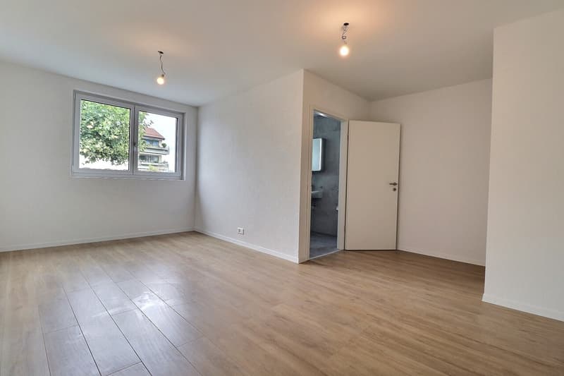 Geräumige 4.5 Zimmer zu vermieten! (7)