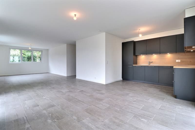 Geräumige 4.5 Zimmer zu vermieten! (3)
