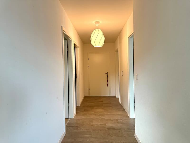 Ampio appartamento di 4.5 locali in affitto! (5)