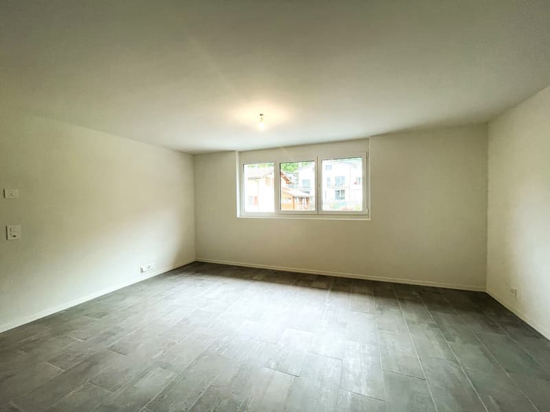 Magnificent 3-room apartment for rent (5)