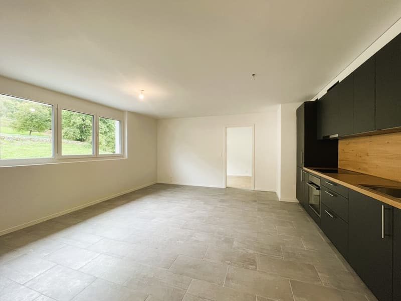 Magnificent 3-room apartment for rent (2)