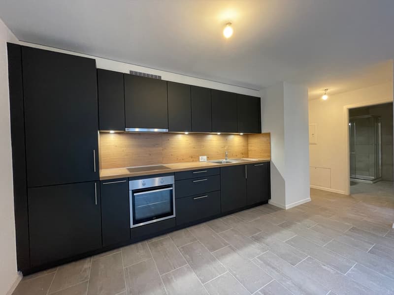 Magnificent 3-room apartment for rent (3)