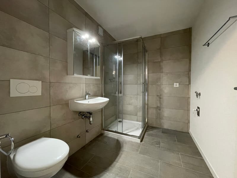 Magnificent 3-room apartment for rent (6)