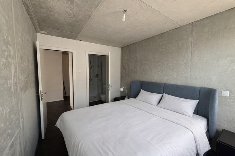Appartement meublé moderne de 3.5 pièces au 2ème étage (5)