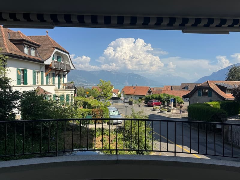 Magnifique appartement de 5.5 pièces avec un jardin privatif (11)